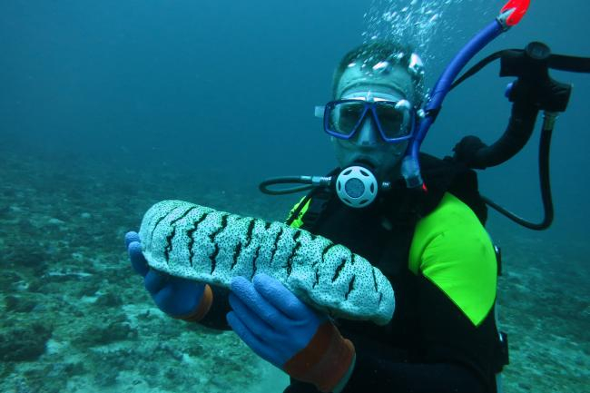 Promoting Eco-Tourism
