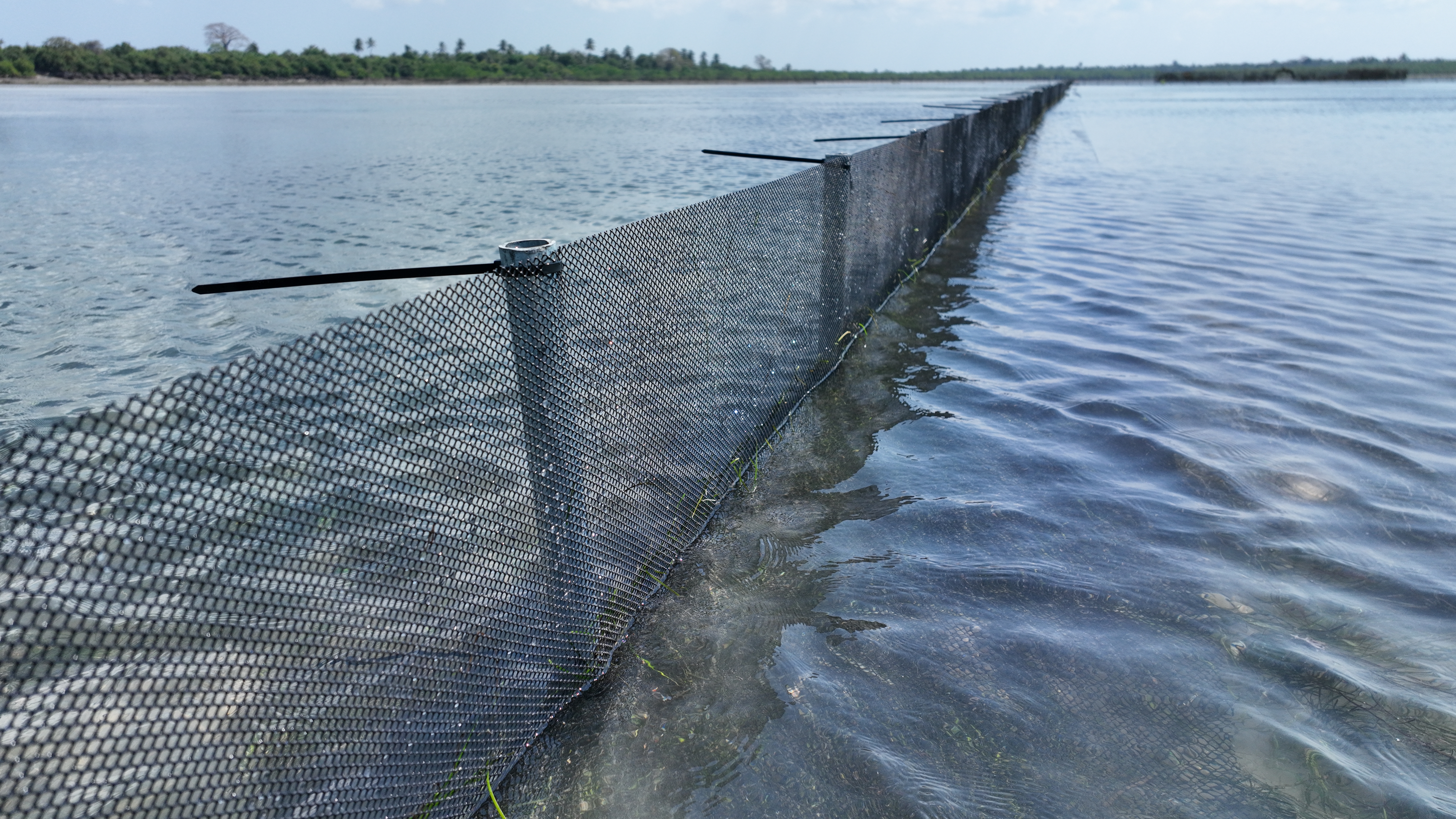 Sea Cucumber Farming